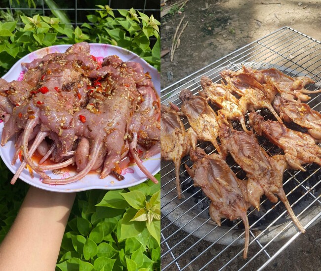 Chuột dừa – đặc sản độc đáo của Bến Tre từng khiến nhiều người e ngại, nay lại được săn lùng vì thịt béo, ngọt và thơm mùi dừa. Cả đời chỉ ăn cơm dừa, uống nước dừa, nên từng thớ thịt chuột dừa đều đậm vị, lạ miệng, trở thành món hiếm có khó tìm.