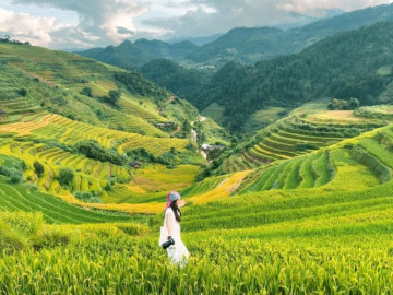 Địa điểm "hot" nhất miền Bắc hiện tại: Du khách đến tắc đường, điểm danh loạt homestay "view cực phẩm" sắp "cháy phòng" 7 Chiêm ngưỡng khung cảnh siêu thực tại Mù Cang Chải mùa lúa chín