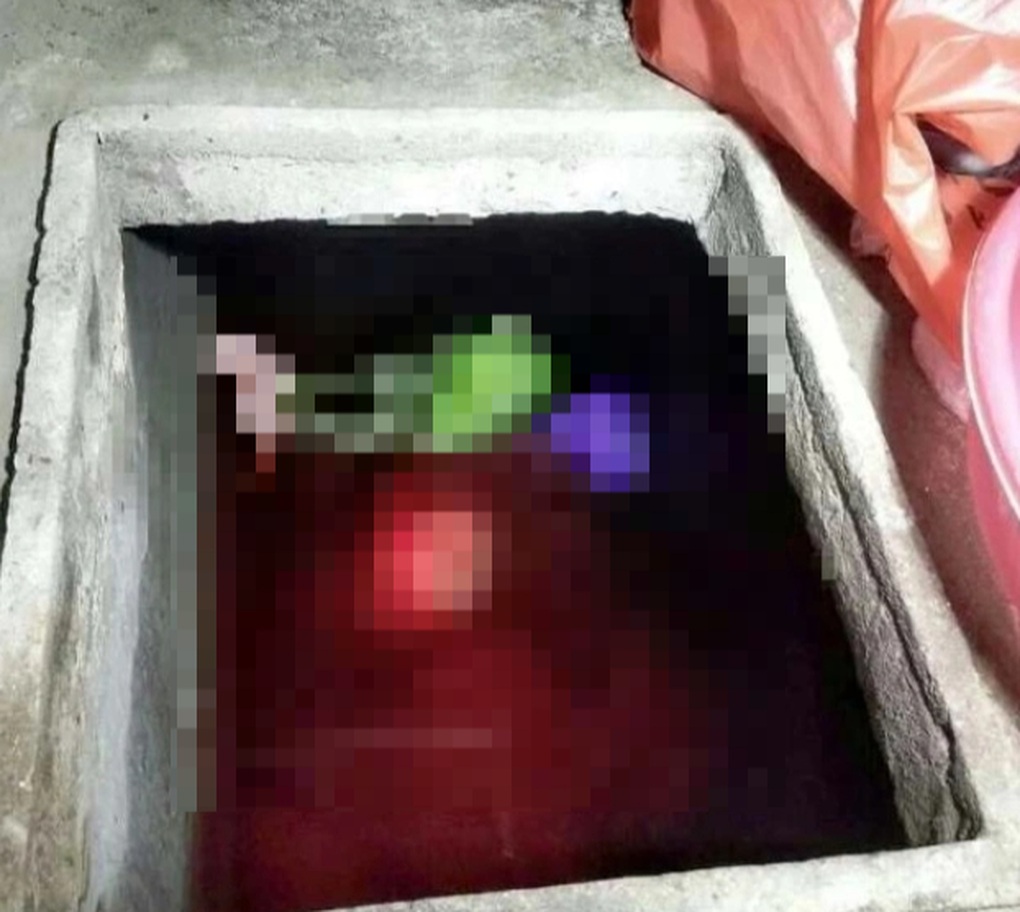 Gã con rể tàn độc ra tay giết hại mẹ vợ, đẩy xác xuống bể nước - 1