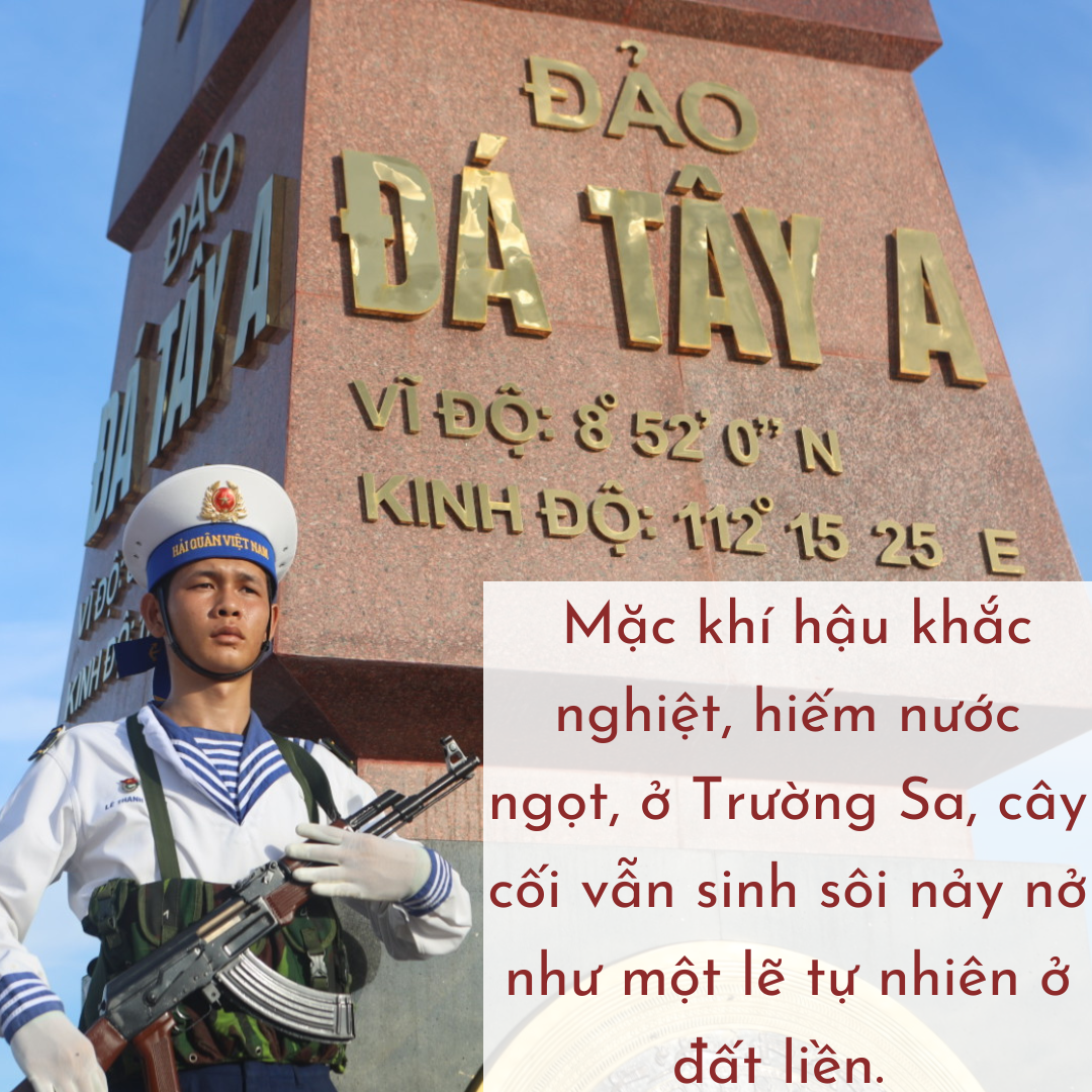 Gặp Mai An Tiêm ở Trường Sa - Ảnh 1. Gặp Mai An Tiêm ở Trường Sa - Ảnh 1.