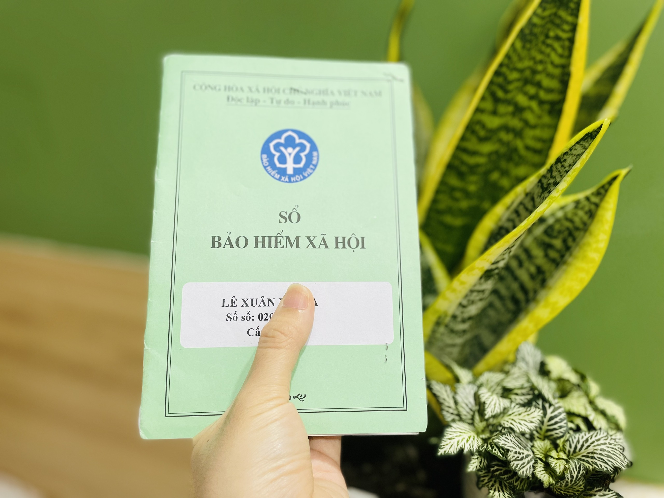 Đề nghị được chọn vừa tham gia bảo hiểm xã hội bắt buộc, vừa tự nguyện- Ảnh 1. Đề nghị được chọn vừa tham gia bảo hiểm xã hội bắt buộc, vừa tự nguyện- Ảnh 1.