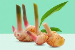 Loại củ bán đầy chợ Việt có tác dụng tuyệt vời cho sức khỏe