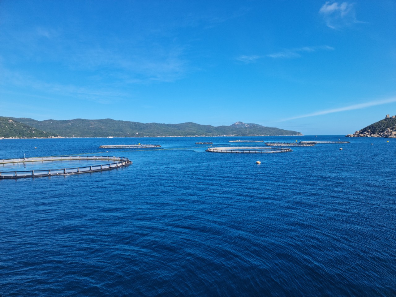 Liên kết để phát triển kinh tế biển - Ảnh 1. Liên kết để phát triển kinh tế biển - Ảnh 1.