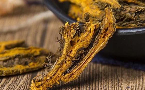 loại cây, hoàng liên chân gà, kiến thức