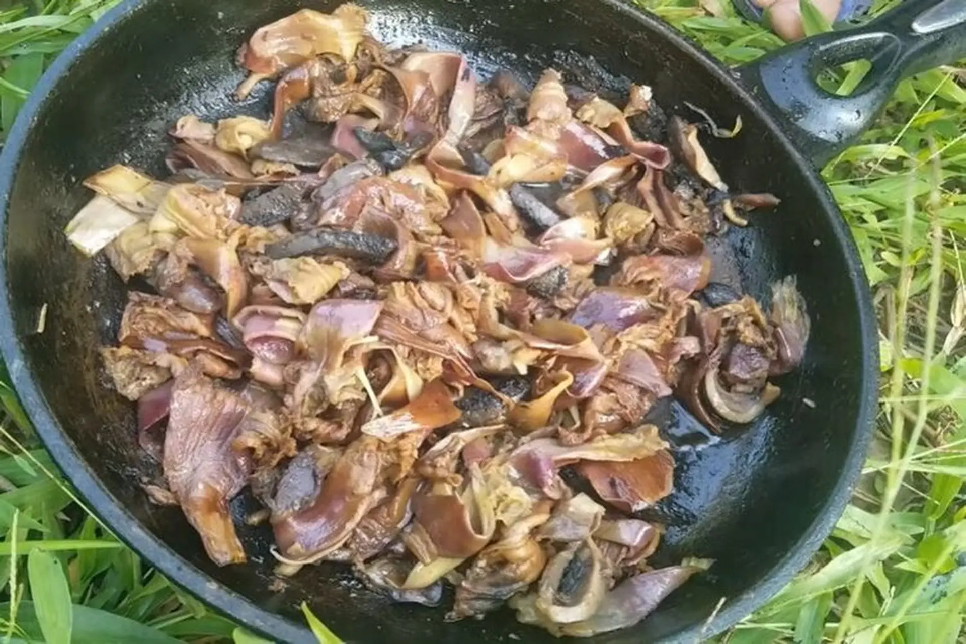 Loại hoa rụng đầy gốc không ai nhặt lại là đặc sản Tây Bắc, đắng nhưng hậu vị ngọt lịm lại cực tốt cho sức khỏe - 3