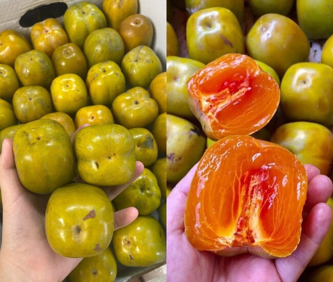 "Lộc trời ban" là đặc sản mỗi năm chỉ có một lần, dẻo giòn như thạch, giá 170 nghìn đồng/kg 1 Hồng da tre là đặc sản nổi tiếng của Thái Nguyên, có vỏ mỏng, da căng bóng, màu vàng cam đẹp mắt. Khi chín, hồng mềm, ngọt thanh, thơm dịu, không chát.