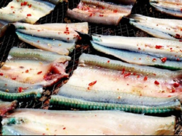 "Lộc trời" độc nhất ở sông Đà: Được mệnh danh là "ngọc trong nước", cực bổ dưỡng giúp kéo dài tuổi thọ 6 Loài cá được mệnh danh sát thủ lại là đặc sản nổi tiếng ở Kiên Giang: Cái tên lạ bắt nguồn từ màu xương hiếm thấy