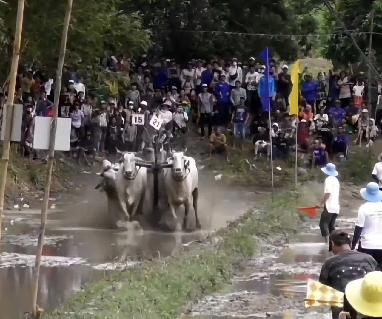 Nài bò "nổi loạn" tại hội đua bò ở miền Tây gây xôn xao mạng xã hội 1 Nài bò giận dữ vì cho rằng bị xử ép tại Hội đua bò Chùa Rô - Ảnh 1.