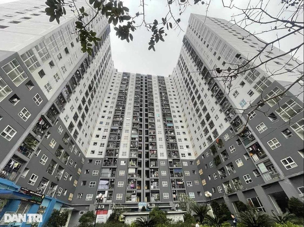 Năm nay có 100.000 căn nhà ở xã hội, cơ hội an cư cho người thu nhập thấp - 1