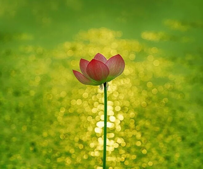 Nếu mọi việc không diễn ra tốt đẹp, làm 3 việc này càng sớm càng tốt 1 Nếu mọi việc không diễn ra tốt đẹp, làm 3 việc này càng sớm càng tốt - 1