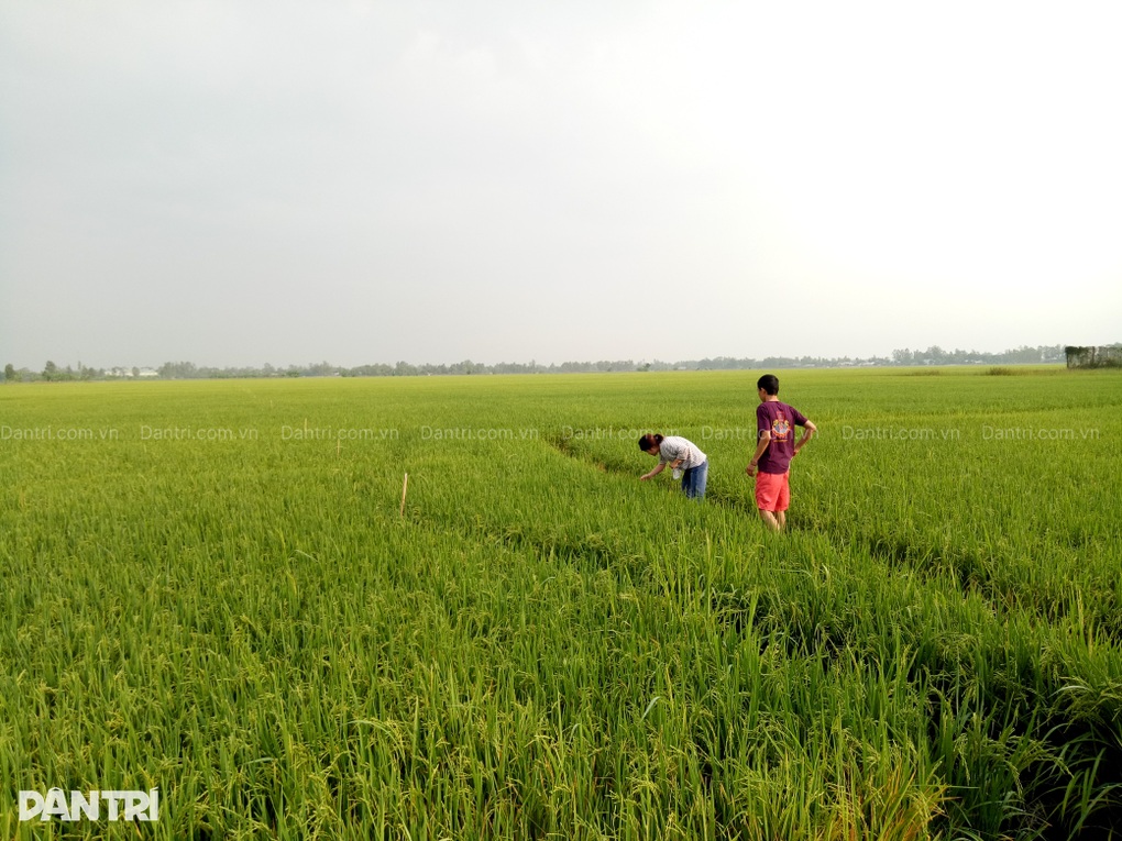 Ngành bảo vệ thực vật than về một điều khoản, mong được cởi trói - 1