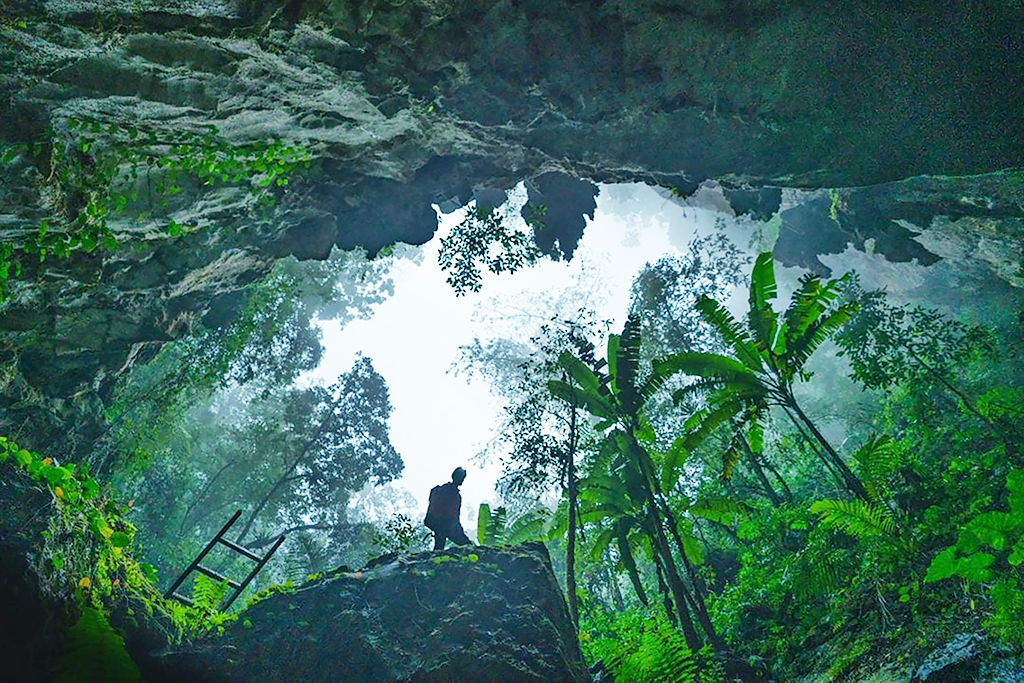Ngành văn hóa thi đua yêu nước 1 Ngành văn hóa thi đua yêu nước - Ảnh 1.