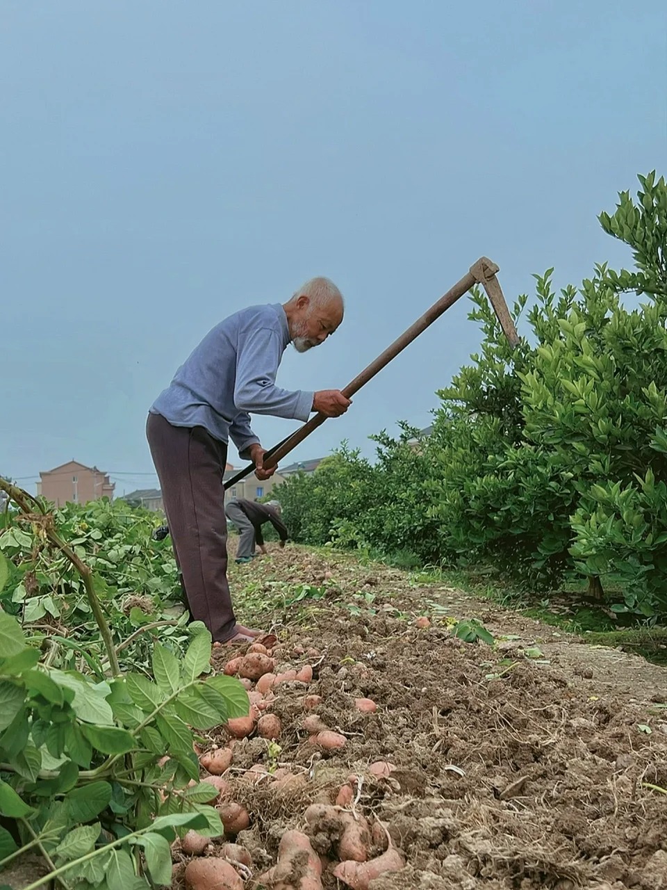 Nghe cháu đích tôn nói 7 từ, ông nội quyết định khăn gói trở về quê ngay trong đêm: Sống không tự do, sống làm gì... - Ảnh 1.