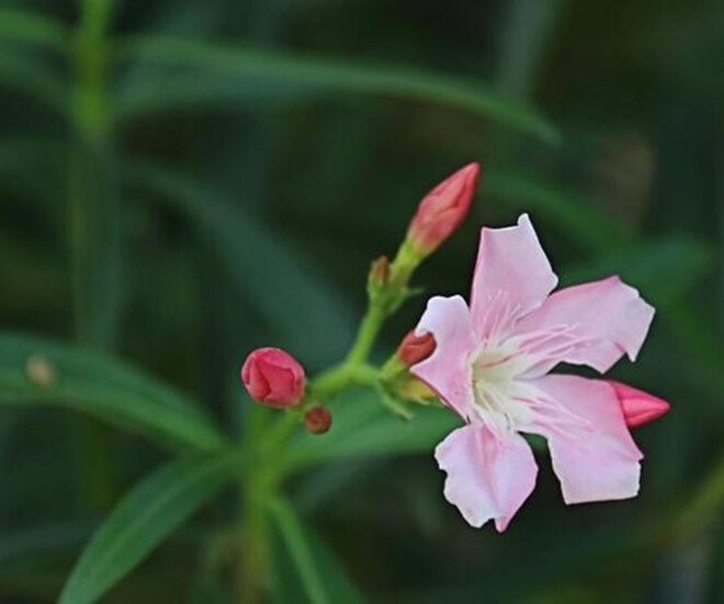 Người thực sự bản lĩnh đều có 3 chữ này, trông vậy mà không hề đơn giản - 1