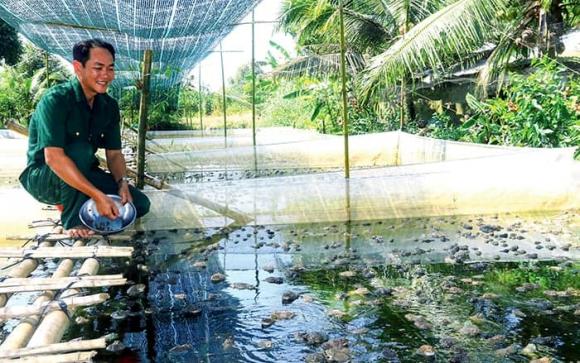 nuôi ếch, nông dân, nông dân làm giàu