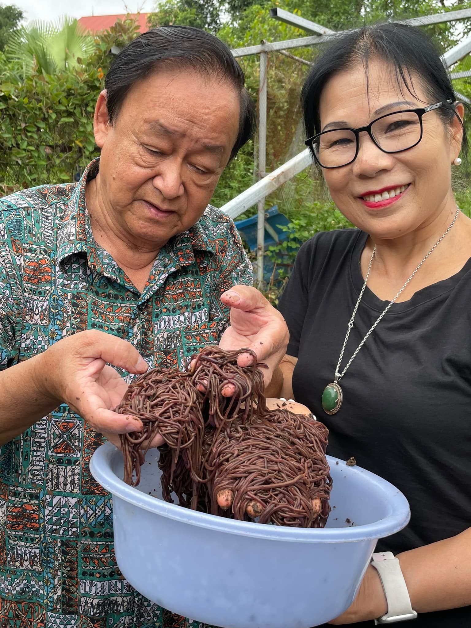 Nữ cựu chiến binh làm giàu từ giun quế - Ảnh 1.