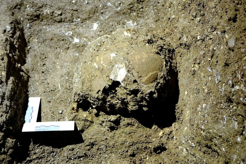 Phát hiện khảo cổ chấn động: Bộ xương chiến binh Tràng An 13.000 năm tuổi - 1