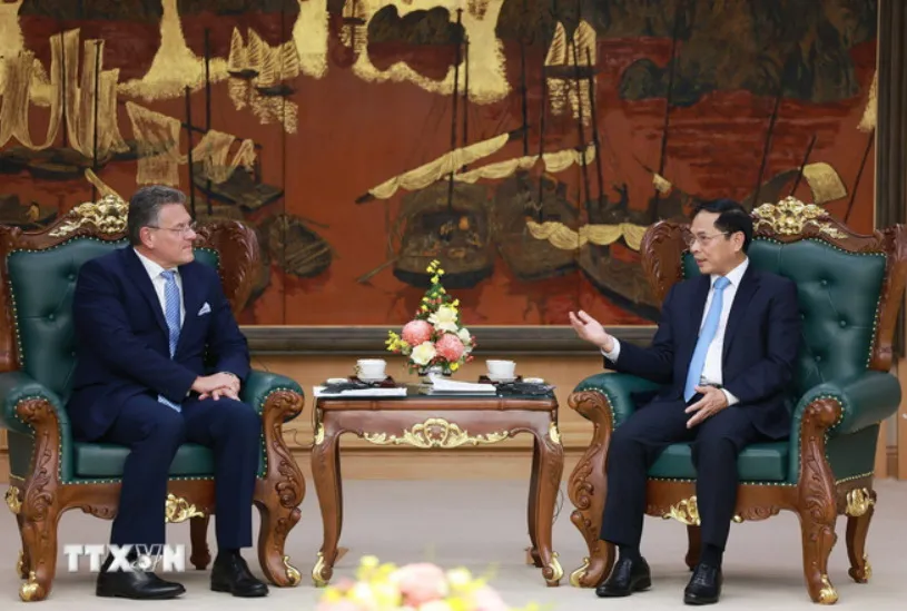 Phó Thủ tướng Bùi Thanh Sơn tiếp Cao ủy Thương mại và An ninh kinh tế Liên minh châu Âu (EU) Maros Sefcovic. Ảnh: Dương Giang/TTXVN 2609A.jpg