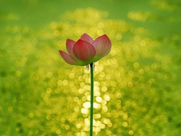 Nếu mọi việc không diễn ra tốt đẹp, làm 3 việc này càng sớm càng tốt