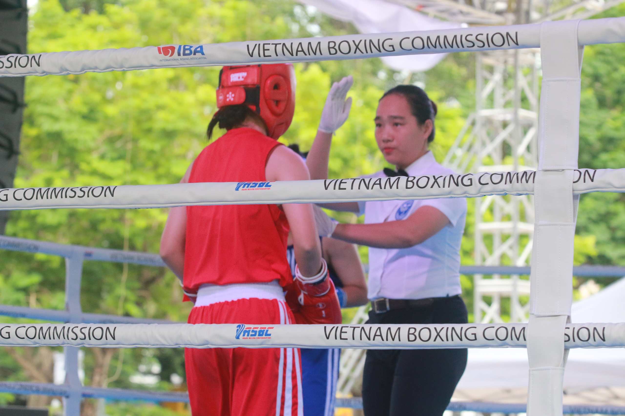 Quyền Anh Việt Nam thông tin chính thức về lãnh đạo liên đoàn- Ảnh 1. Quyền Anh Việt Nam thông tin chính thức về lãnh đạo liên đoàn- Ảnh 1.