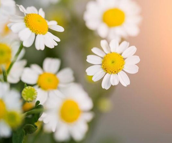 Sở hữu 2 trên 4 điều này chứng tỏ bạn đang sống rất tốt 1 Sở hữu 2 trên 4 điều này chứng tỏ bạn đang sống rất tốt - 1