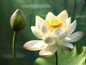 Sở hữu 2 trên 4 điều này chứng tỏ bạn đang sống rất tốt 5 Một chữ không người khôn ngoan luôn nhớ, kẻ dại lại thường quên