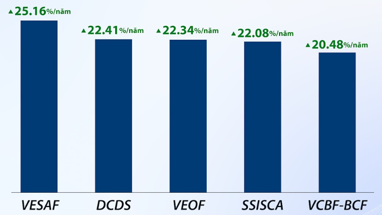 Soi danh mục quỹ ‘cá mập’: Cổ phiếu nào mang về lợi nhuận khủng? 2 cổ phiếu - Ảnh 2.