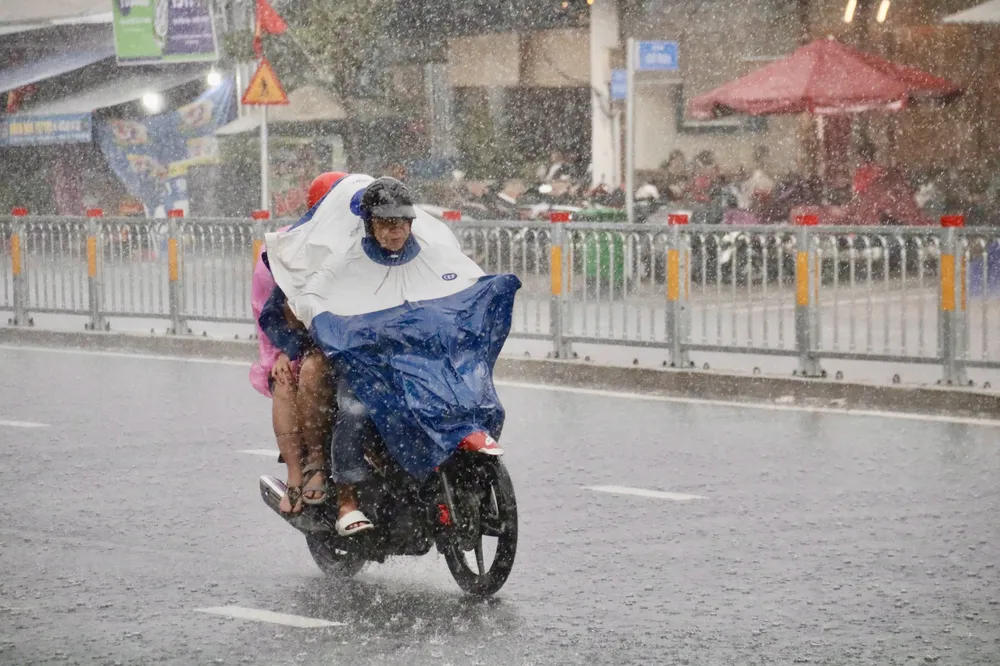 mưa ở TP.HCM và các tỉnh Nam Bộ.jpg