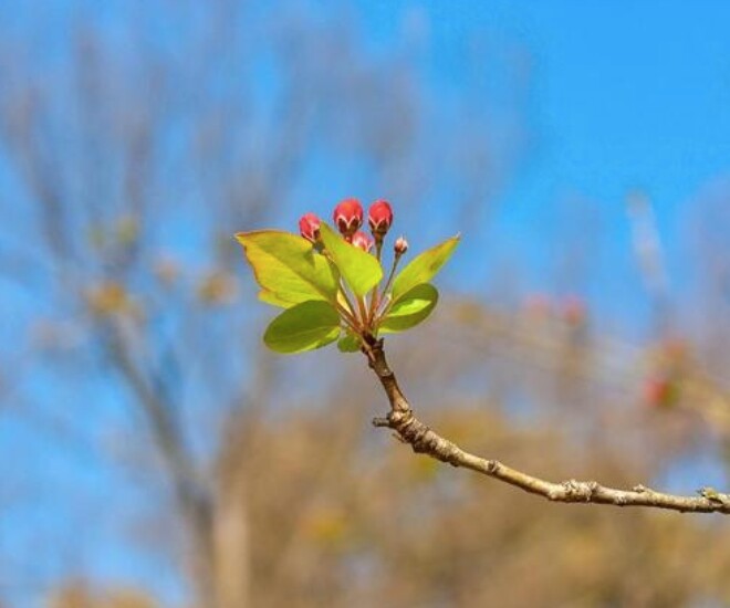 Tài năng đáng nể nhất của một người không phải sự khôn khéo mà là 3 chữ này 1 Tài năng đáng nể nhất của một người không phải sự khôn khéo mà là 3 chữ này - 1