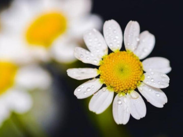 Tài năng đáng nể nhất của một người không phải sự khôn khéo mà là 3 chữ này 4 Tránh xa những người như này không phải vô tâm mà là rất tỉnh táo