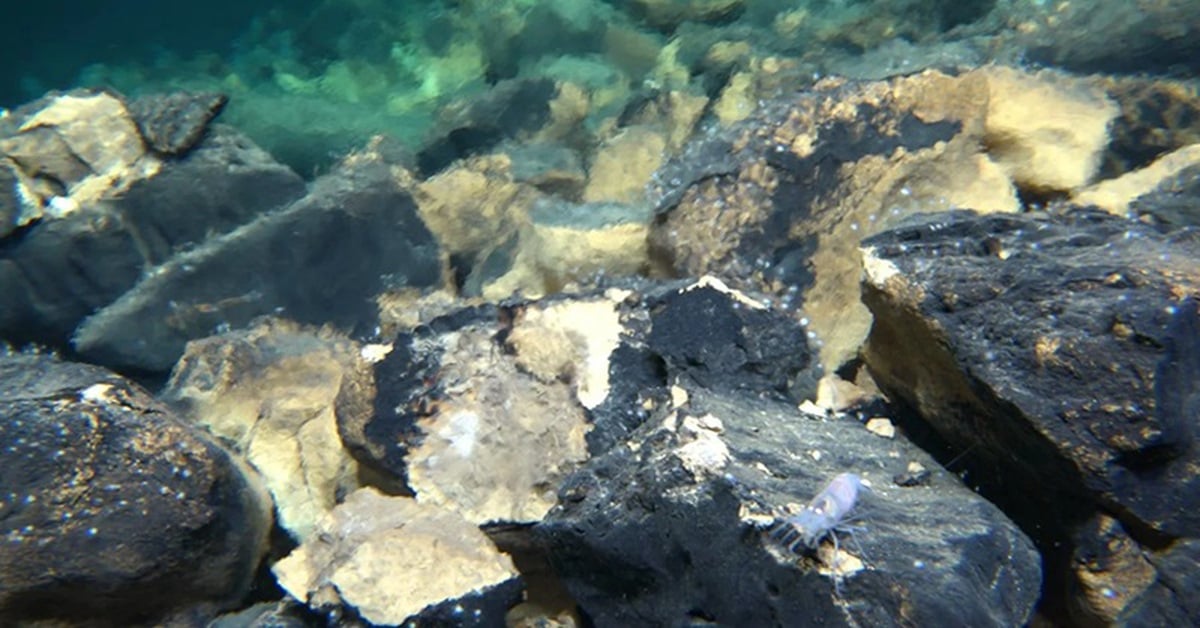 Tàu ngầm Trung Quốc tìm ra nơi chứa bí mật về sự sống - Ảnh 1.