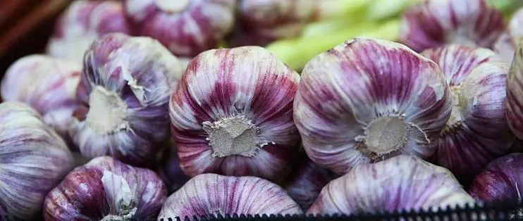 Tỏi bán đầy chợ nhưng có 5 củ này đừng mua, ngay cả người bán rau cũng không ăn, hãy nhanh nhắc nhở gia đình 4 Tỏi bán đầy chợ nhưng có 5 củ này đừng mua, ngay cả người bán rau cũng không ăn, hãy nhanh nhắc nhở gia đình - 4