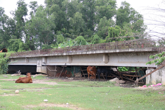 Vun bồi sức mạnh cho siêu đô thị: Trông chờ 3 tuyến vành đai - Ảnh 1.