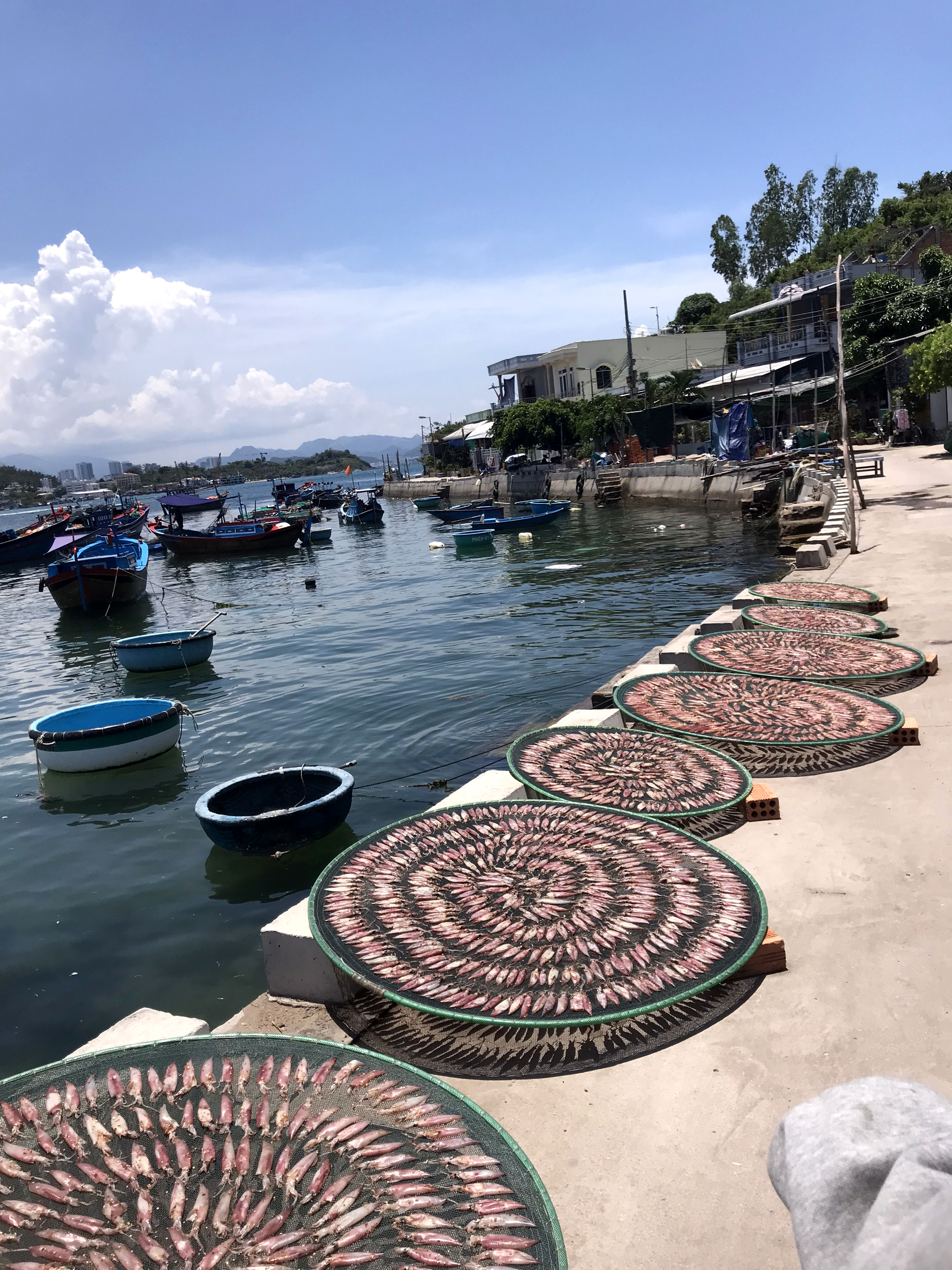 Tự hào đảo Trí Nguyên - Ảnh 2. Tự hào đảo Trí Nguyên - Ảnh 2.