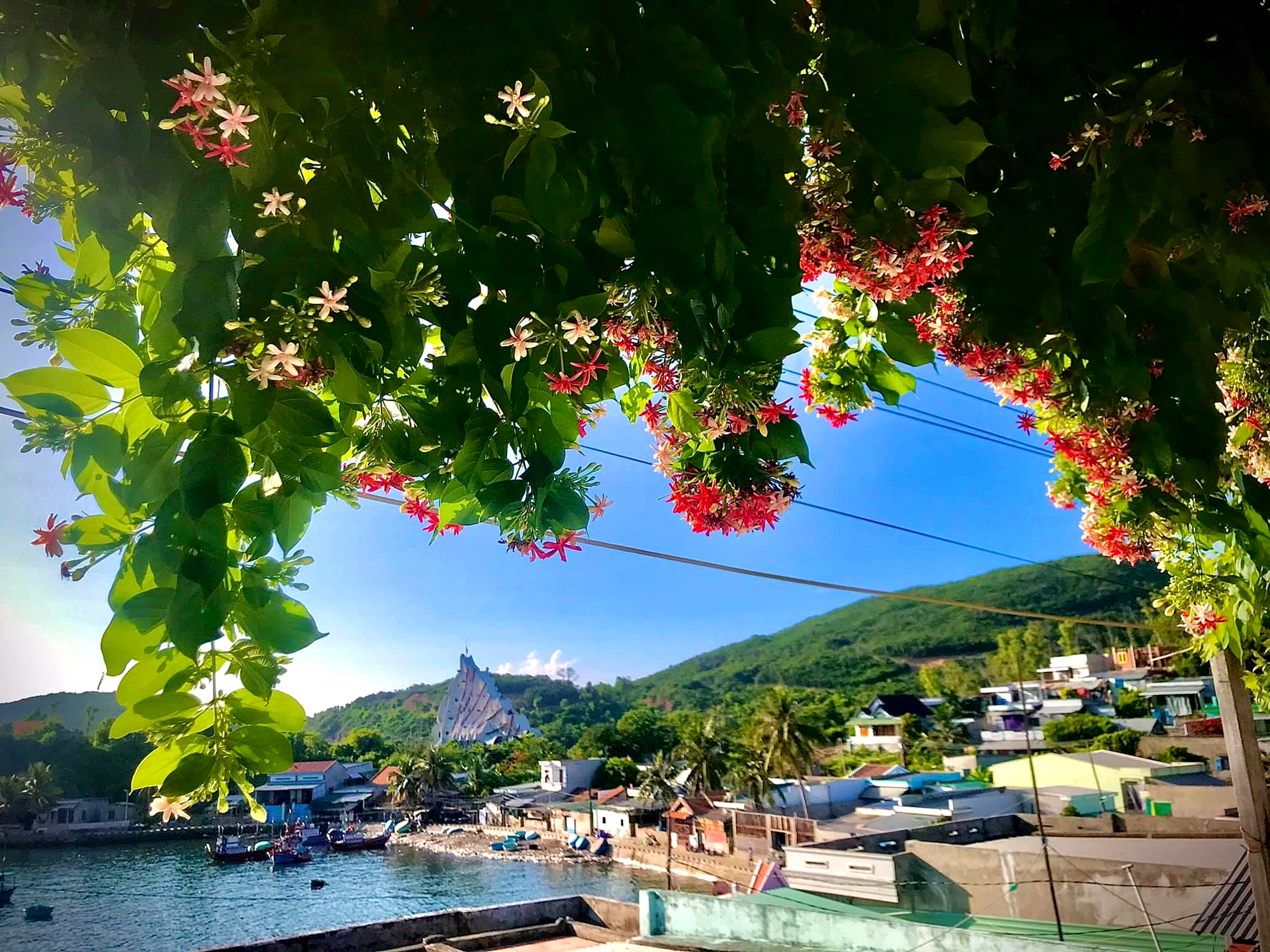 Tự hào đảo Trí Nguyên - Ảnh 1. Tự hào đảo Trí Nguyên - Ảnh 1.