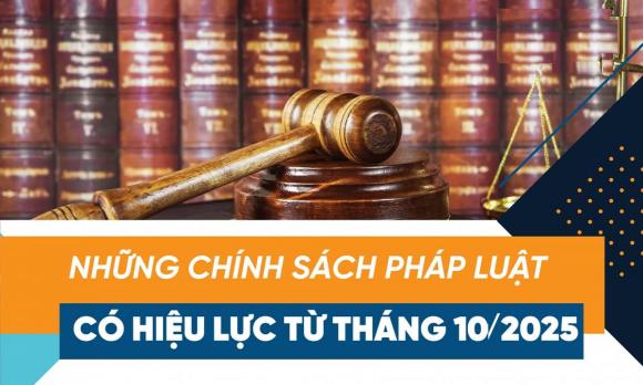 luật mới có hiệu lực, chính sách mới