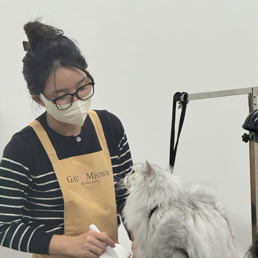 Tự tin khởi nghiệp - Ảnh 1.