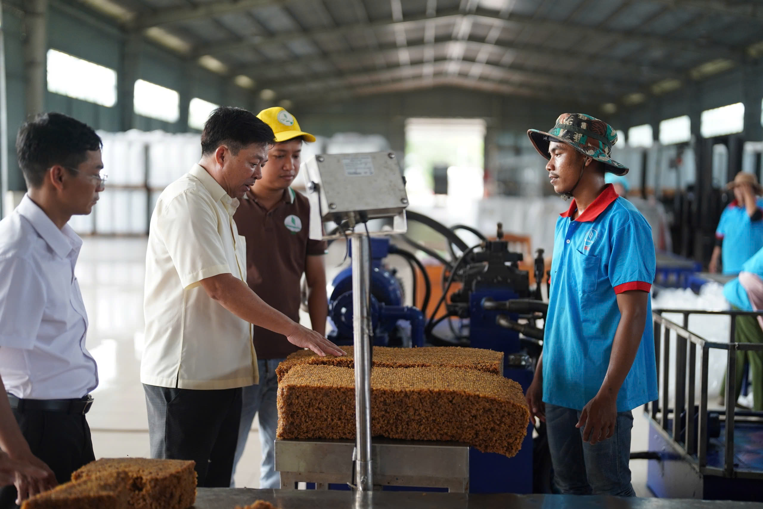 VRG được vinh danh trong Top 25 Thương hiệu công ty niêm yết dẫn đầu 2025 - Ảnh 3.