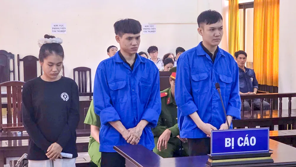 che giấu tội phạm