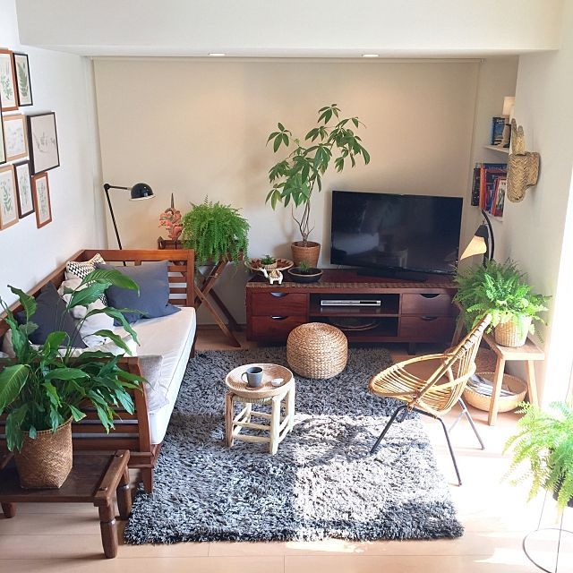 Không cần máy lọc khí: 10 loại cây đặt trong nhà mới giúp bay mùi sơn, hút sạch khí độc chỉ sau vài tuần- Ảnh 1. Không cần máy lọc khí: 10 loại cây đặt trong nhà mới giúp bay mùi sơn, hút sạch khí độc chỉ sau vài tuần- Ảnh 1.