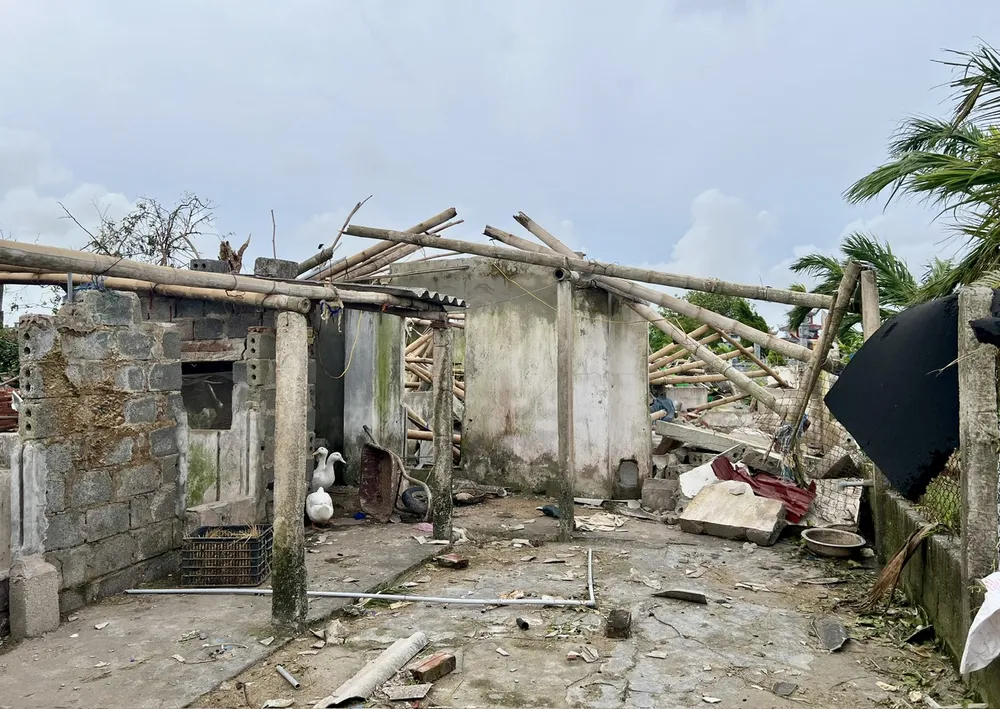 Chuồng trại bật nóc, mái tôn bị cuốn phăng, sau cơn lốc xoáy ngày 29-9. Ảnh: TT cơn lốc xoáy