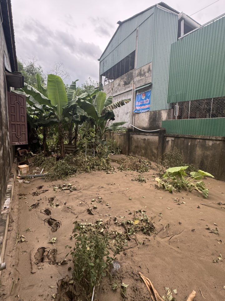 Vườn rau nhà nam MC sau trận lũ thì chỉ còn bùn đất.