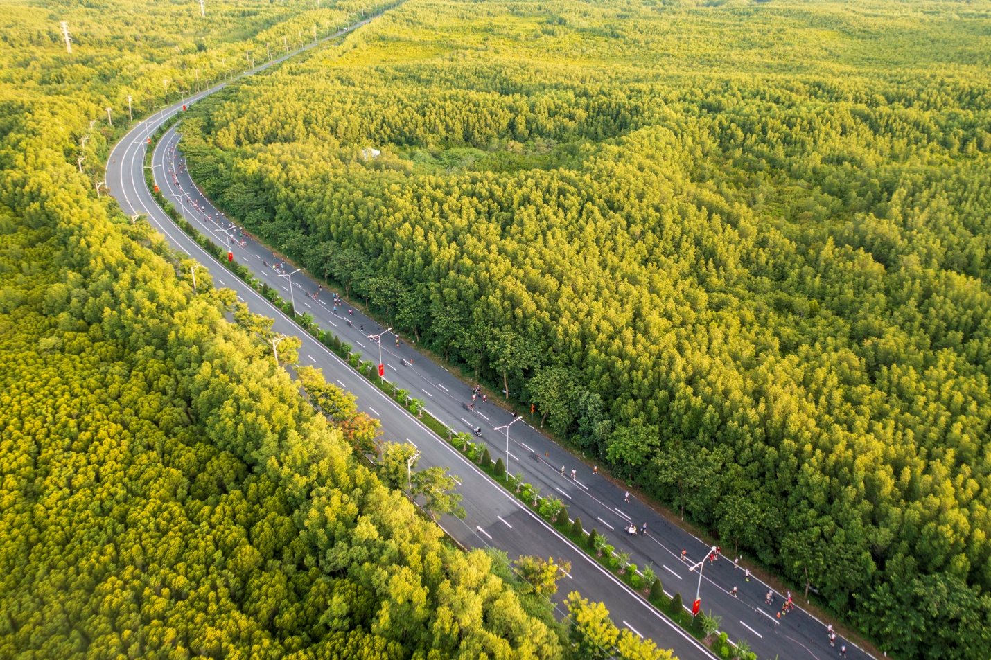 HDBank Green Marathon 2025 mùa thứ tư: Hành trình “xanh” sôi động và đầy mới mẻ- Ảnh 2. HDBank Green Marathon 2025 mùa thứ tư: Hành trình “xanh” sôi động và đầy mới mẻ- Ảnh 2.