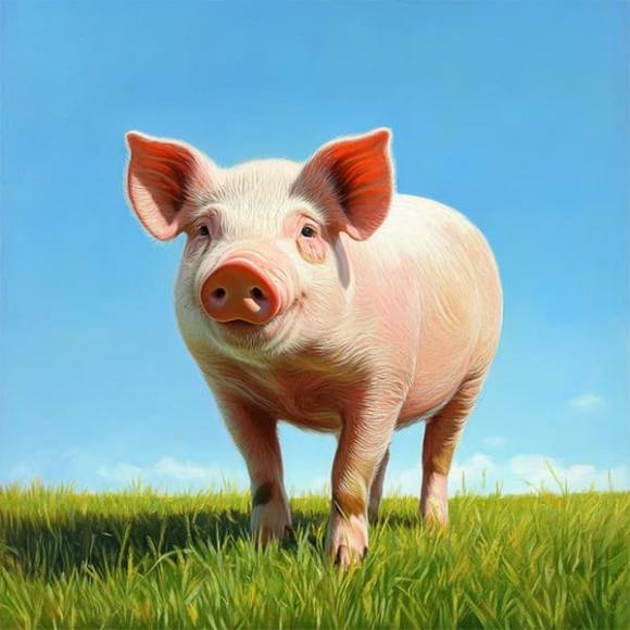 Tử vi, con giáp, tử vi hàng ngày, tử vi ngày 2/10/2025