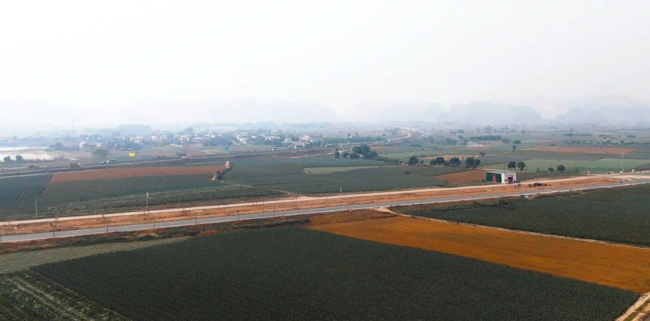 Lần đầu tiên thấy 1 phim Việt dùng 500 con cá trê làm đạo cụ: Xem đến đâu ớn tới đó, về nghỉ ăn cá cả năm - Ảnh 5.