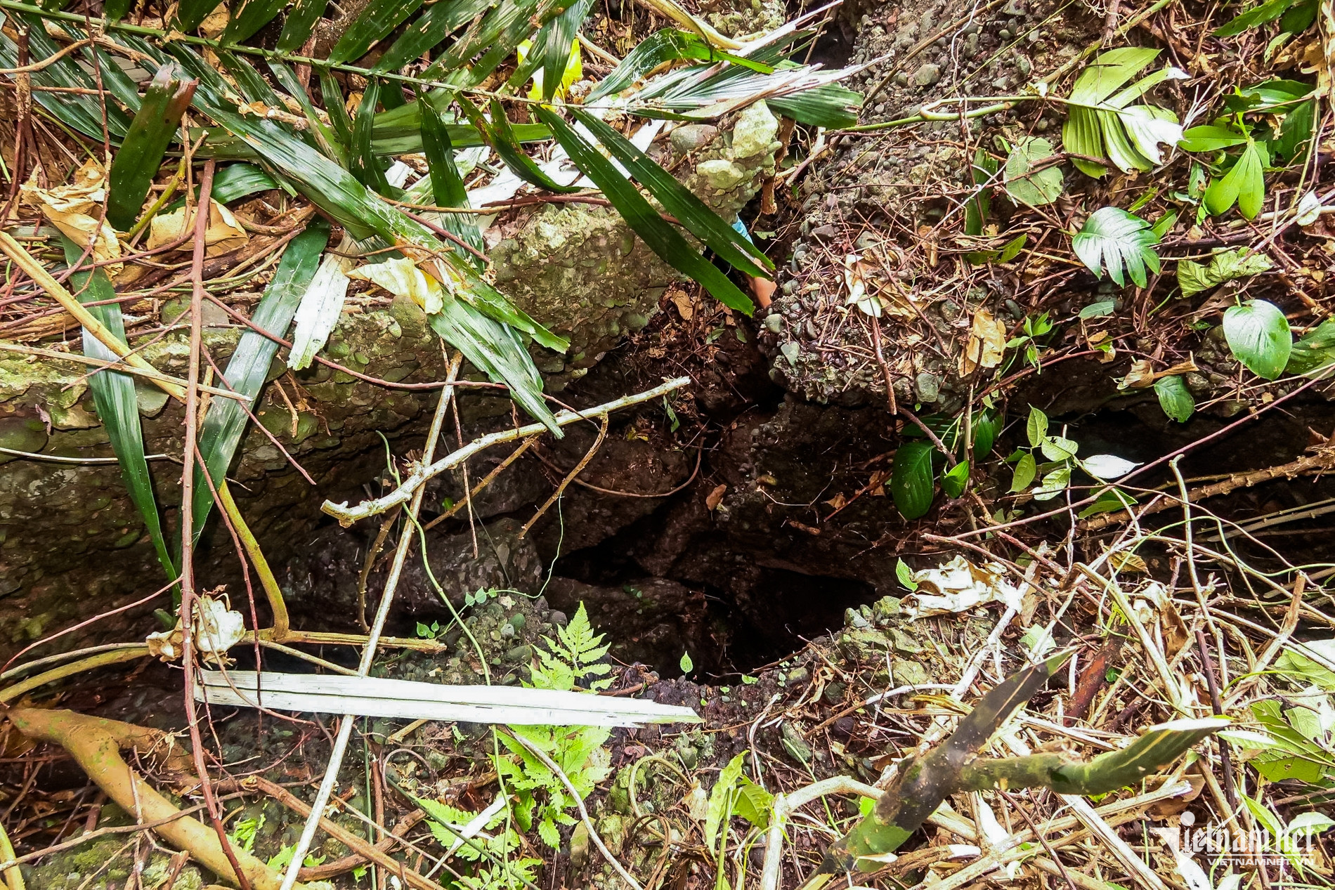 Kỳ án bộ xương khô trong hang sâu và tội ác kinh hoàng 30 năm chưa được giải quyết - Ảnh 5.