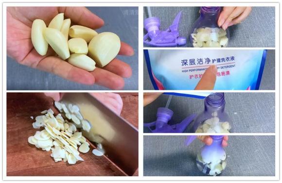 diet-gian (1).jpeg 1 diệt gián