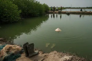 Cà Mau: 2 ngày 4 người chết vì tai nạn điện, nước và lửa