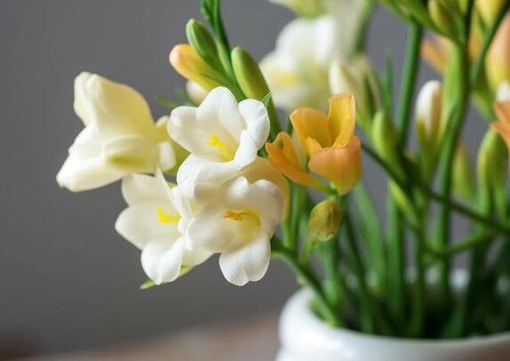 “4 không làm” người thực sự khôn ngoan luôn nhớ: Càng không làm, phúc khí càng sâu dày 3 “4 không làm” người thực sự khôn ngoan luôn nhớ: Càng không làm, phúc khí càng sâu dày - 3