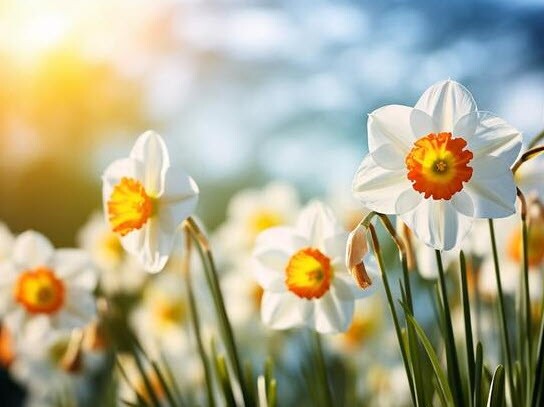 “4 không làm” người thực sự khôn ngoan luôn nhớ: Càng không làm, phúc khí càng sâu dày 4 “4 không làm” người thực sự khôn ngoan luôn nhớ: Càng không làm, phúc khí càng sâu dày - 4